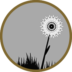 Growing Decay